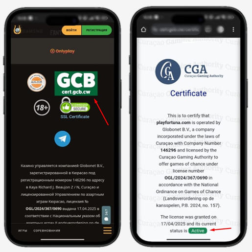 Лицензия Play Fortuna Casino