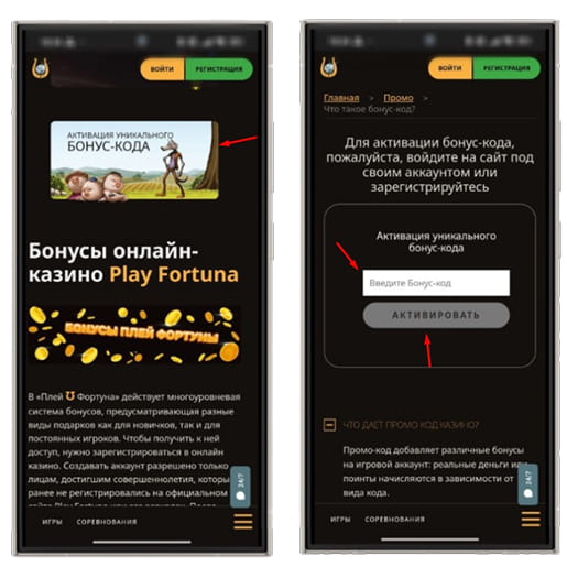 Применение промокода в Play Fortuna Casino